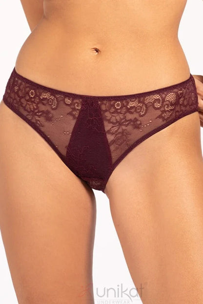 Sheer Mesh Lace Low Rise Bikini Panty Caro