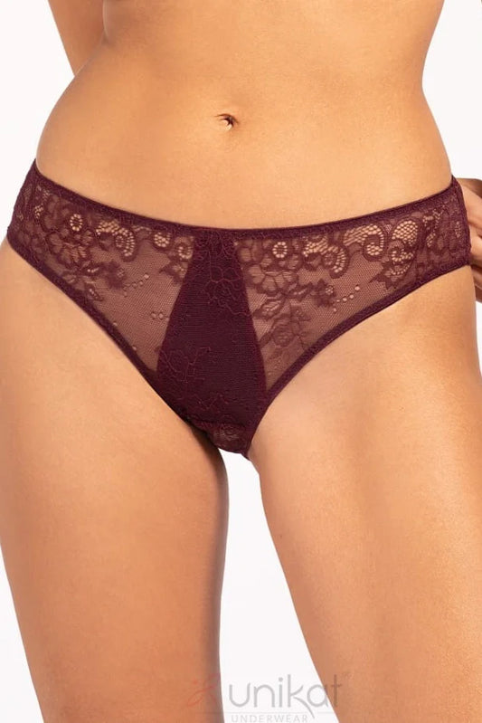 Sheer Mesh Lace Low Rise Bikini Panty Caro