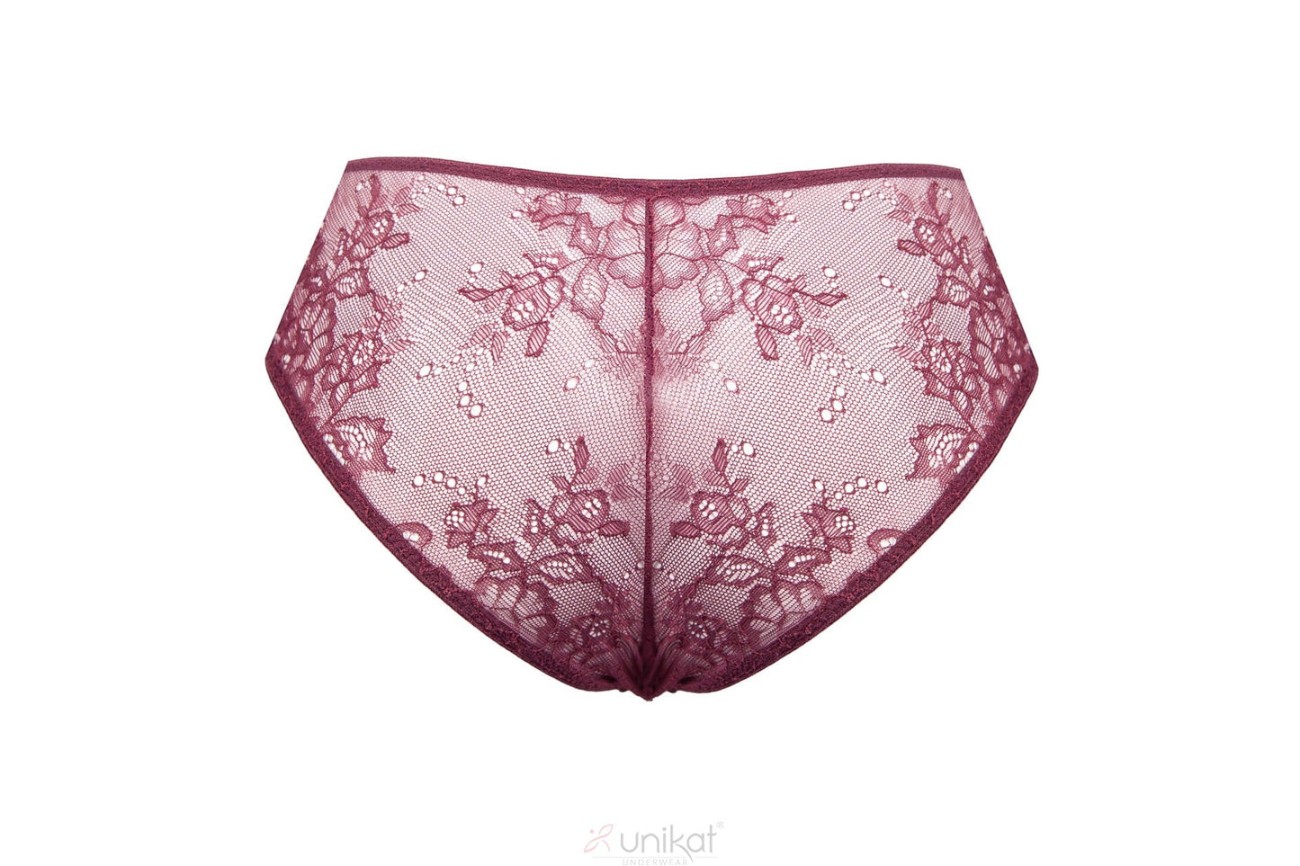 Sheer Mesh Lace Low Rise Bikini Panty Caro