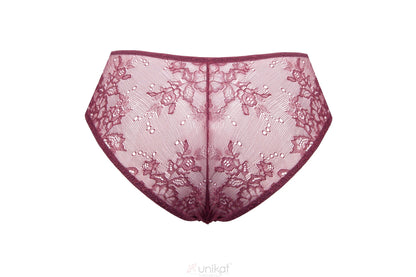 Sheer Mesh Lace Low Rise Bikini Panty Caro