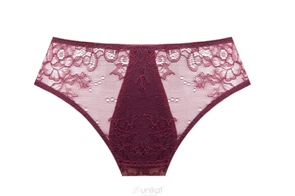 Sheer Mesh Lace Low Rise Bikini Panty Caro